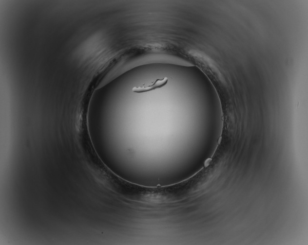 X0000095130596200712141158