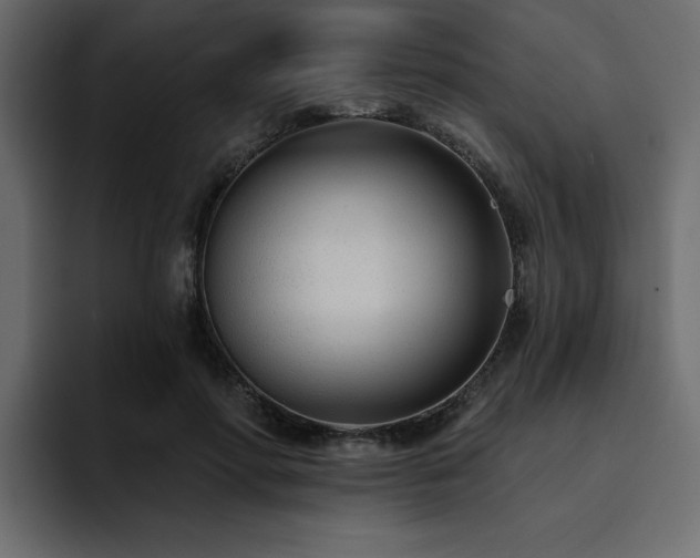 X0000095130598200712141158