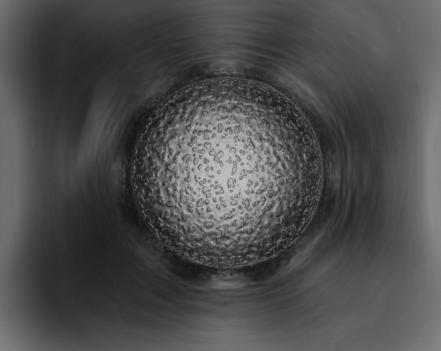 X0000095130603200712141158