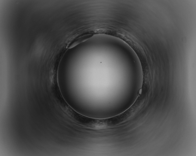 X0000095130604200712141158