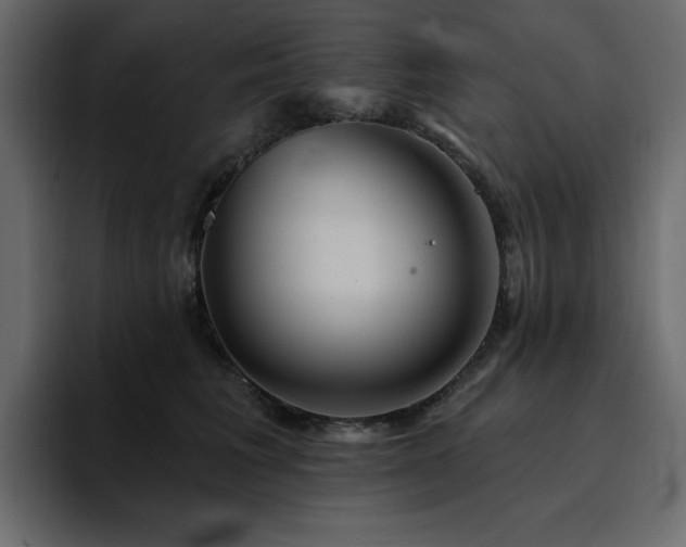 X0000095130613200712141158