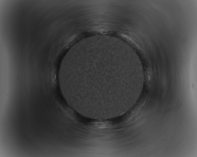 X0000095130615200712141158