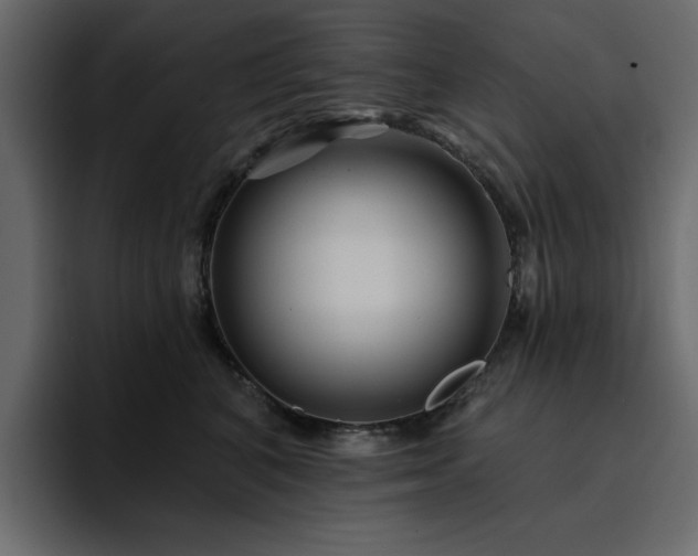 X0000095130616200712141158