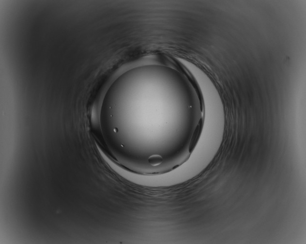 X0000095130617200712141158