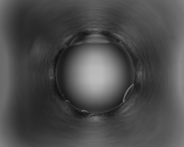 X0000095130620200712141158