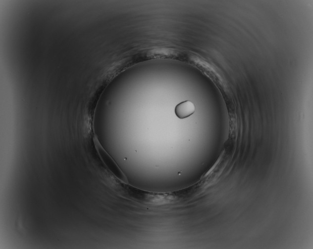 X0000095130621200712141158