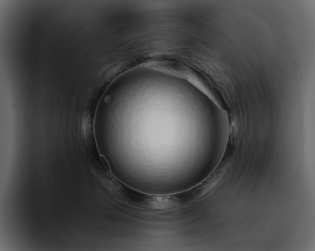 X0000095130623200712141157