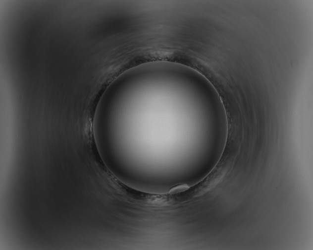 X0000095130624200712141157