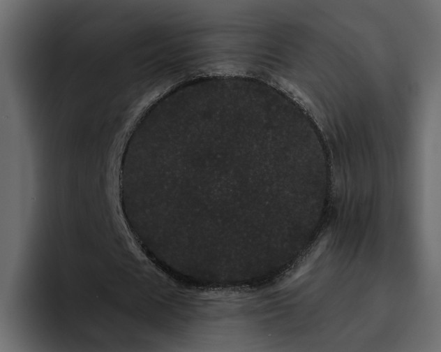 X0000095130625200712141157