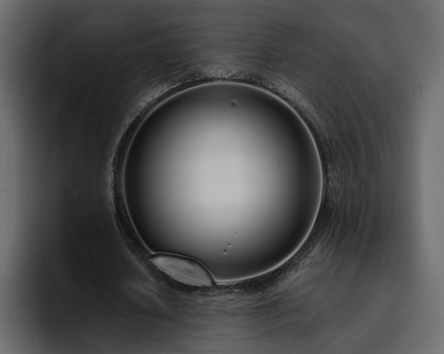 X0000095130626200712141157