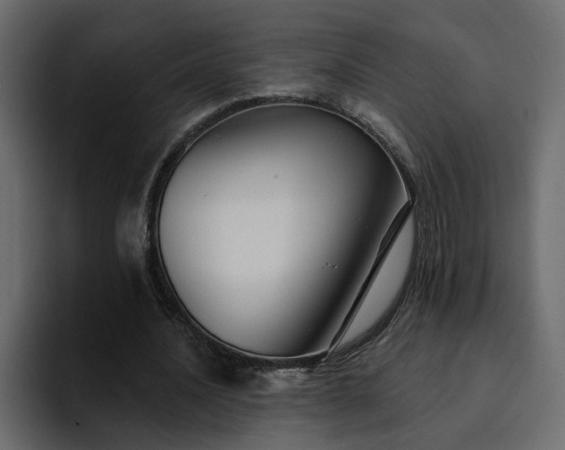 X0000095130628200712141157