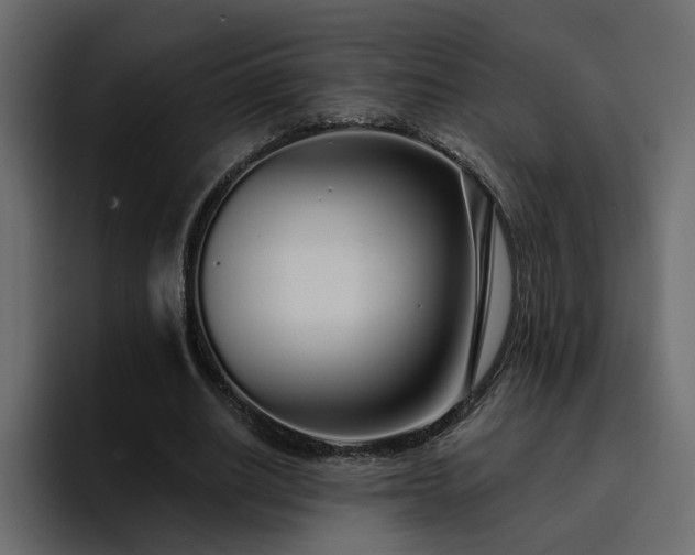 X0000095130630200712141157