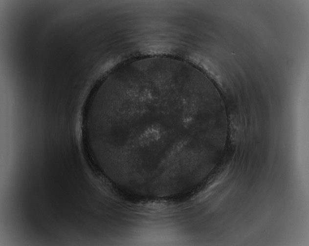 X0000095130631200712141157