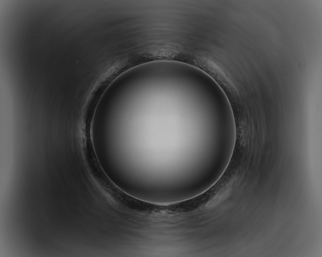 X0000095130634200712141157