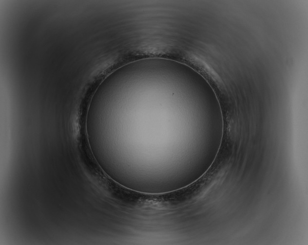 X0000095130635200712141157