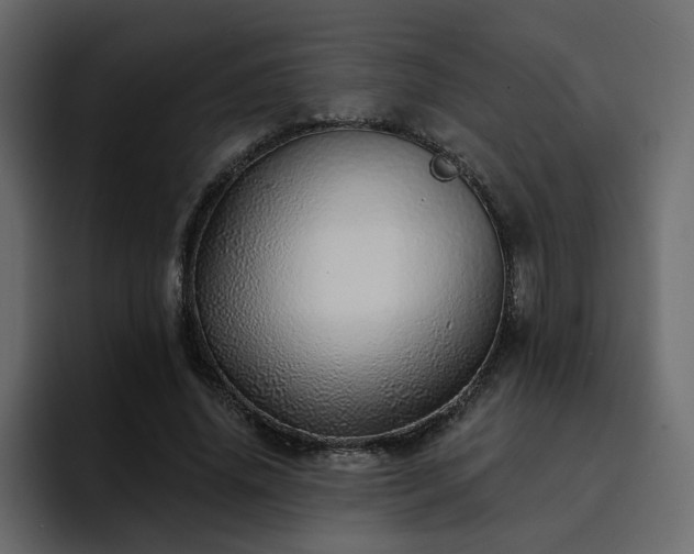 X0000095130636200712141157