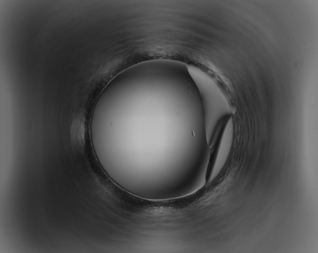 X0000095130637200712141157