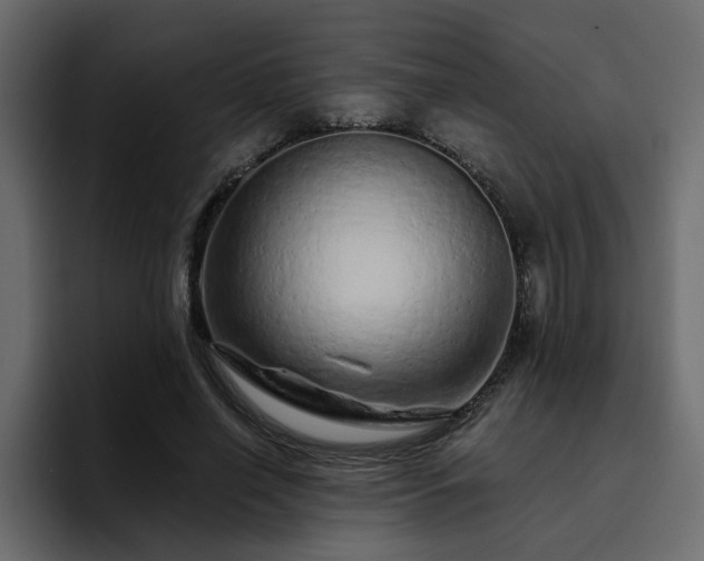 X0000095130638200712141157