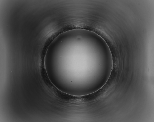 X0000095130639200712141157