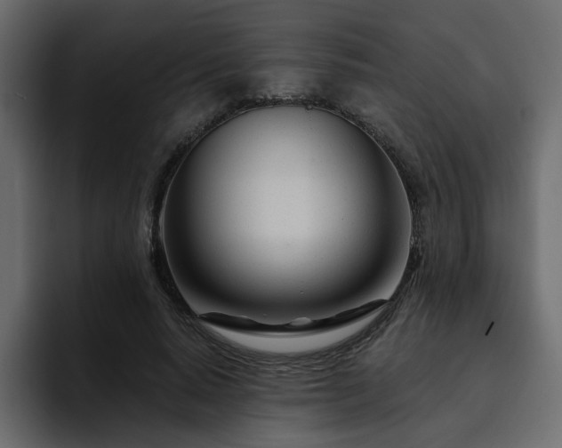 X0000095130640200712141157