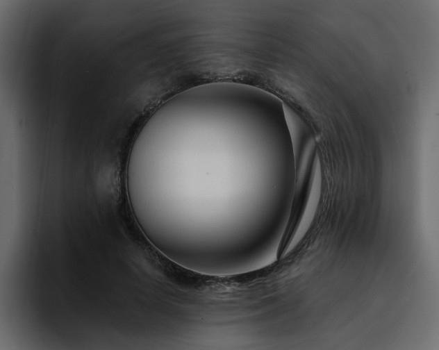 X0000095130642200712141157