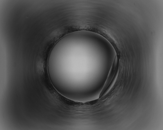 X0000095130643200712141157