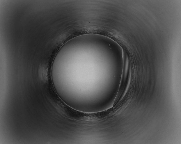 X0000095130644200712141157