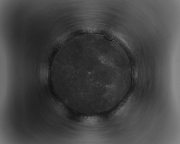 X0000095130645200712141157