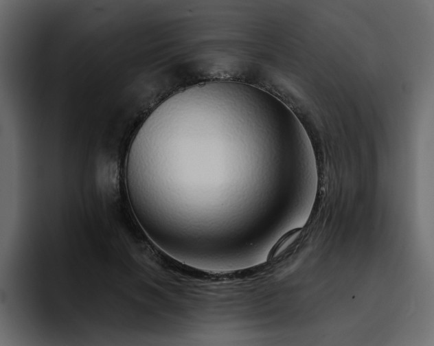 X0000095130646200712141157