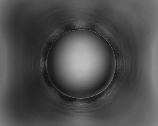 X0000095130648200712141157