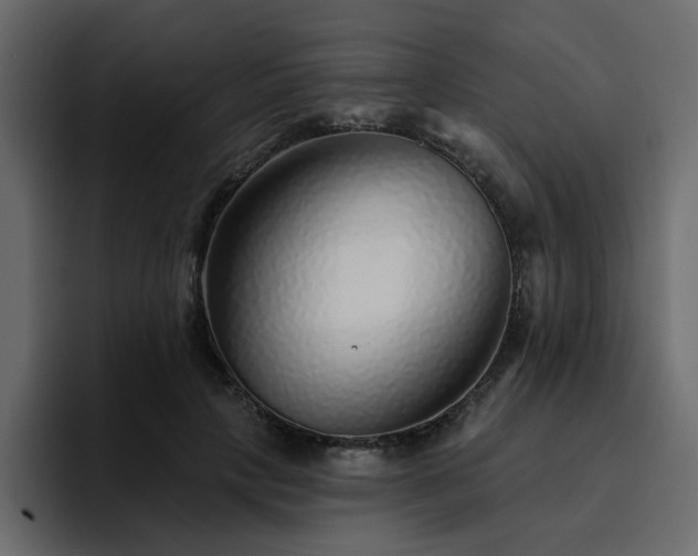 X0000095130649200712141157