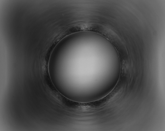 X0000095130650200712141157