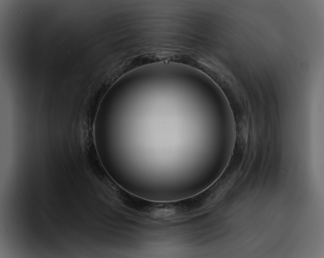 X0000095130653200712141157