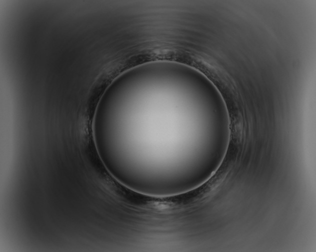 X0000095130654200712141157