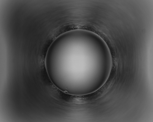 X0000095130657200712141157