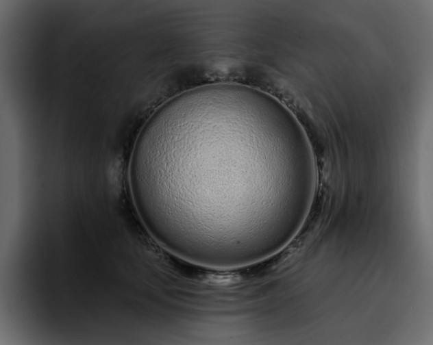 X0000095130659200712141157