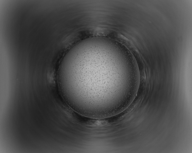 X0000095130663200712141157