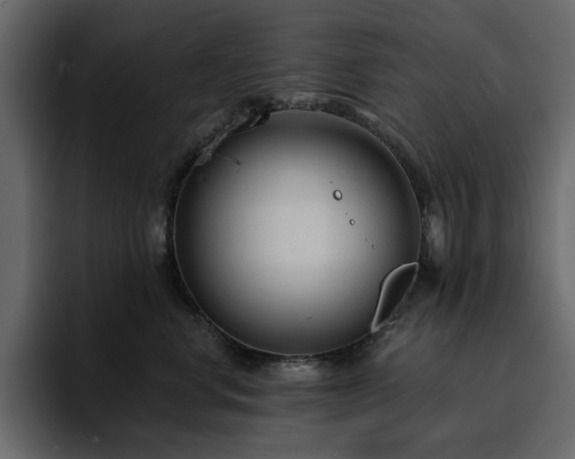 X0000095130668200712141157