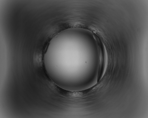 X0000095130670200712141157