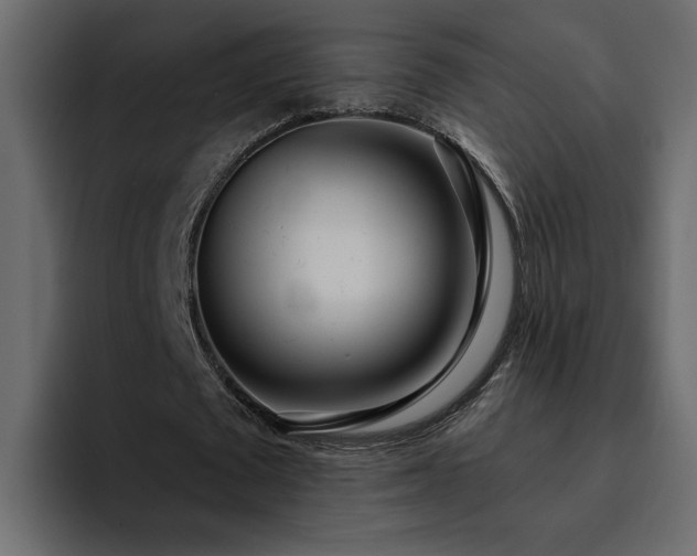 X0000095130673200712141157