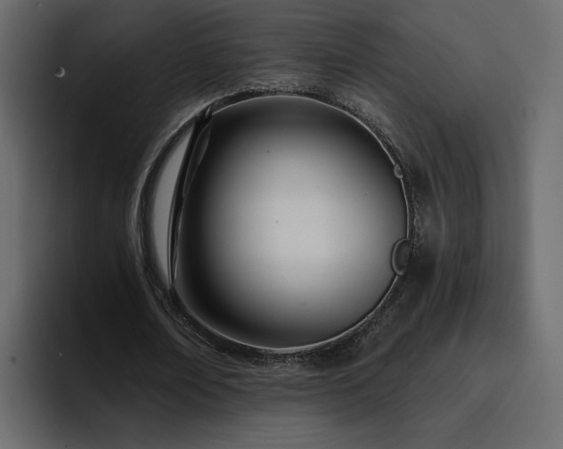 X0000095130674200712141157