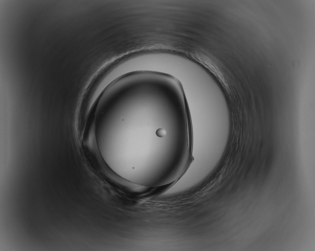 X0000095130676200712141157