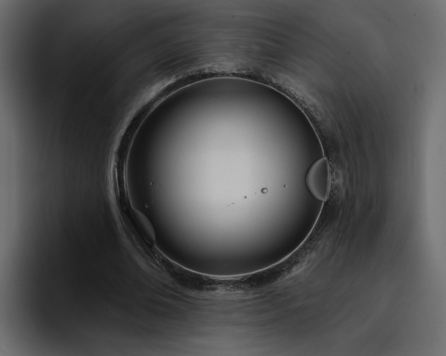 X0000095130678200712141157