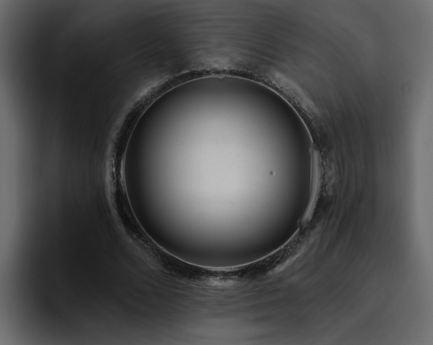 X0000095130680200712141157