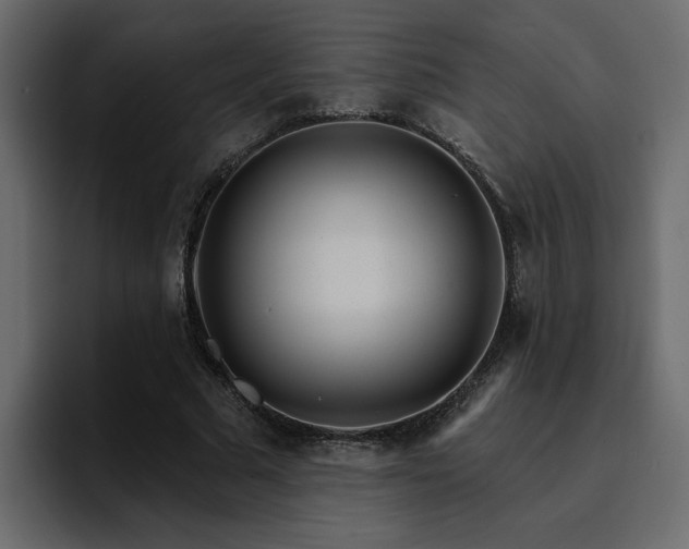 X0000095130681200712141157