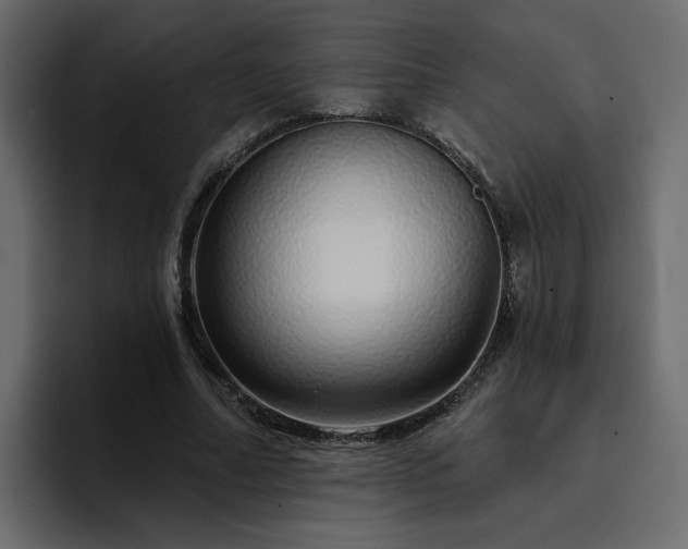 X0000095130682200712141157