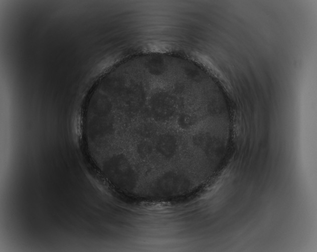 X0000095130683200712141157