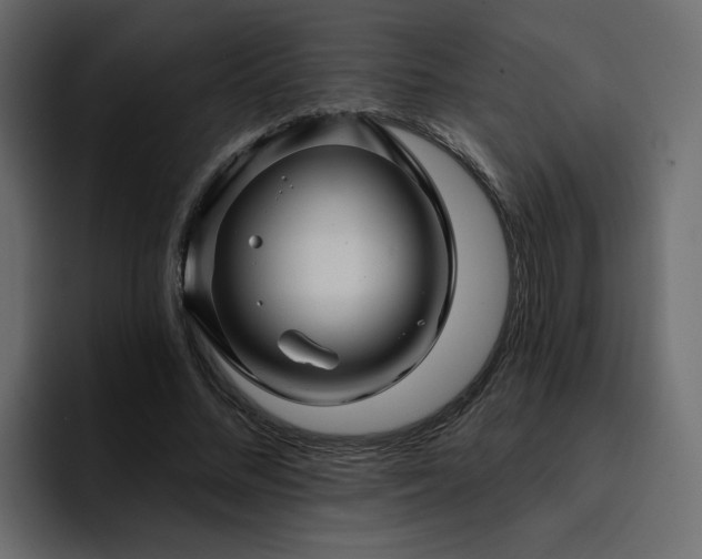 X0000095130684200712141157