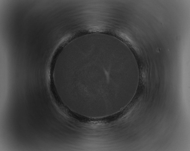 X0000095130686200712141157