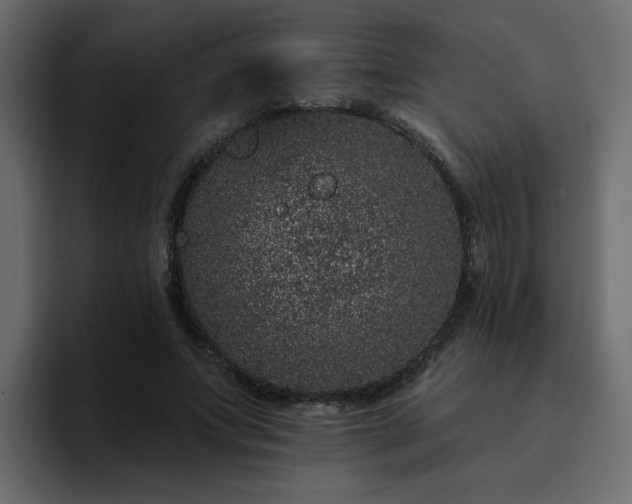 X0000095130687200712141157